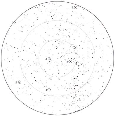1550563919574397.jpg