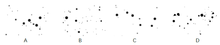 1575455776349508.png