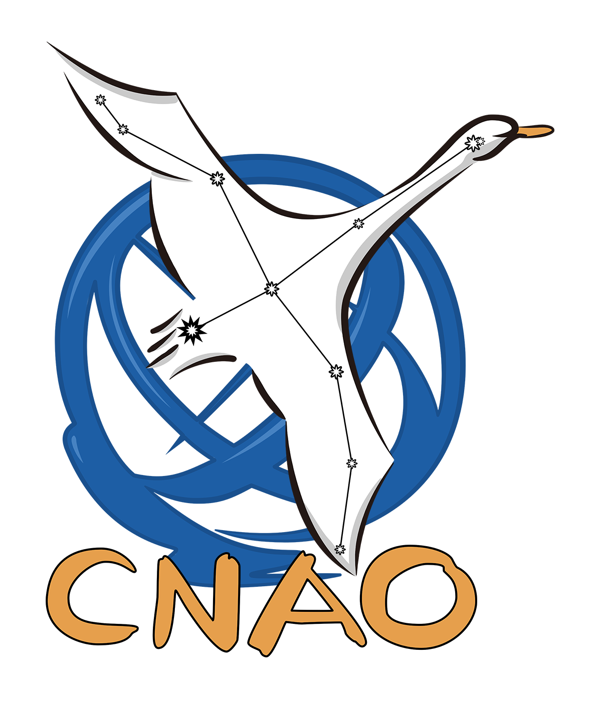 CNAO.png